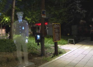 Cybernetyczny policjant